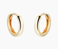 Earrings image