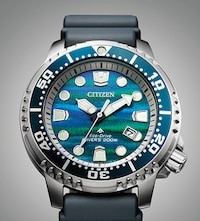 Citizen new arrival watch image