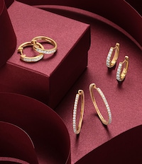 Earrings image