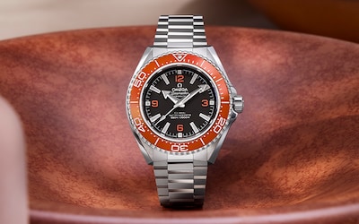 Image of Omega seamaster watch in terracotta coloured bowl. Tap to shop all watches image